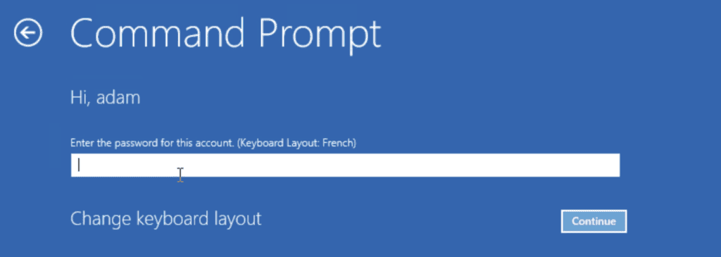 Reset forgotten Windows password